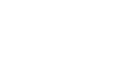Rack & Riddle logo art - white