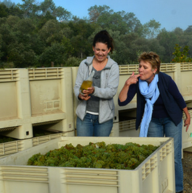 Image: Amista Vineyards Owners Ashley & Vicky