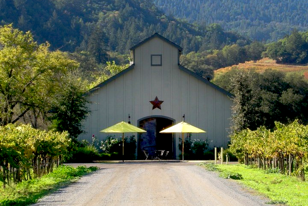 Read our Winery Spotlight on Amista Vineyards. alt=""