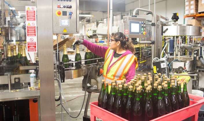 Sparkling Wine production line in action at our Healdsburg location.