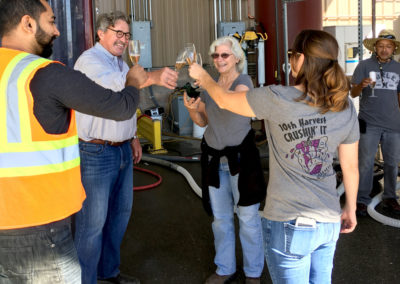 Four winemakers toasting to the start of harvest 2017 with champagne flutes in their hands.