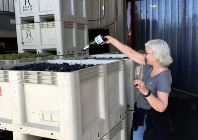 Penny Gadd-Coster, Executive Director of Winemaking, christening the grapes at Rack & Riddle during Harvest 2017.