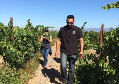 Manveer Sandhu and Jennifer Zeek walking among rows of vines inspecting a vineyard prior to harvest in 2016.