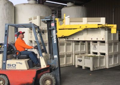 Forklift and production operator bustling at work during Harvest, stacking bins of chardonnay grapes.