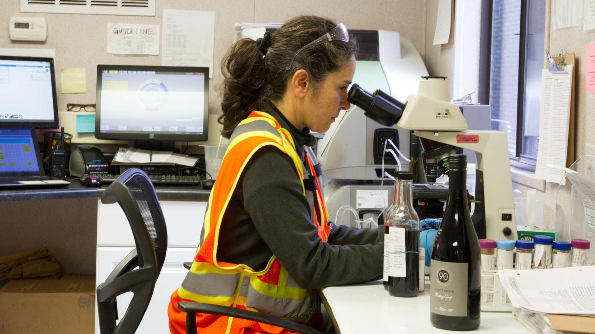 Yeast culture cell-counting in the wine lab. Employee performing yeast culture cell-counting in the wine lab.