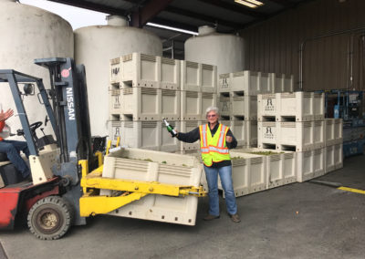 Penny Gadd-Coster christening a bin of Chardonnay grapes during Harvest. 2017