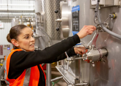 Production worker taking a sample from a wine tank.